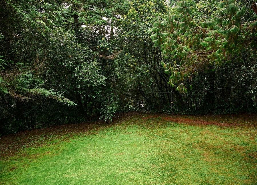 place photo 46