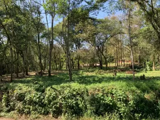 Terreno en venta en Ejidal (Ejido San Andrés), Tlalnelhuayocan, Veracruz de Ignacio de la Llave