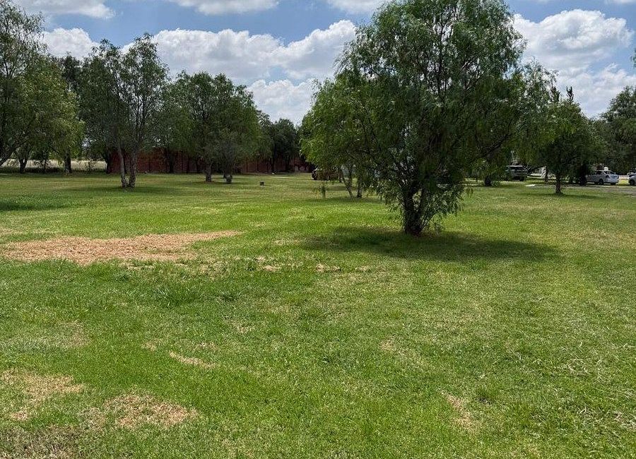 place photo 25