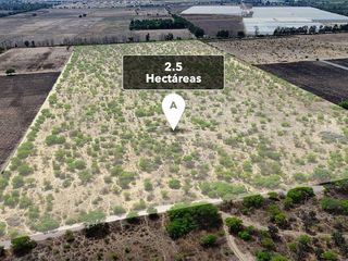 Terreno para desarrollo eco residencial en San Miguel de Allende