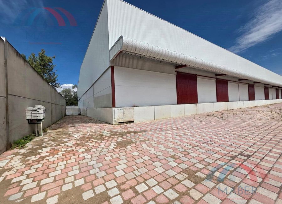 place photo 10