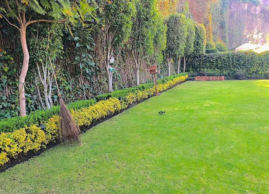 place photo 29