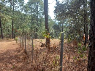 Terreno en venta en Cerro Colorado, Valle de Bravo