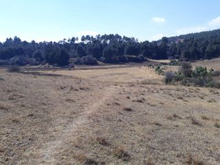 TERRENO EN VENTA CAMPESTRE EN VILLA VICTORIA