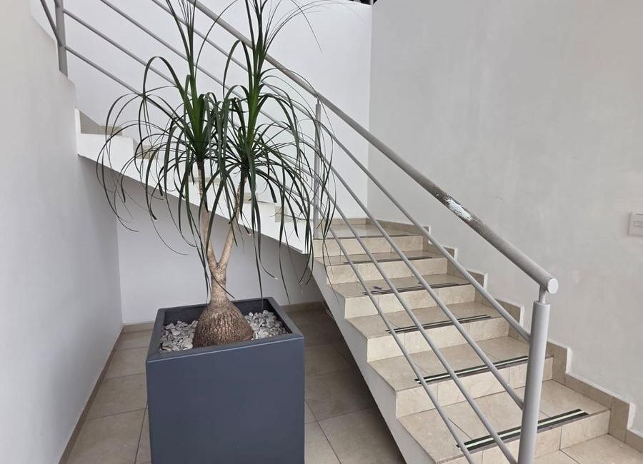 place photo 47