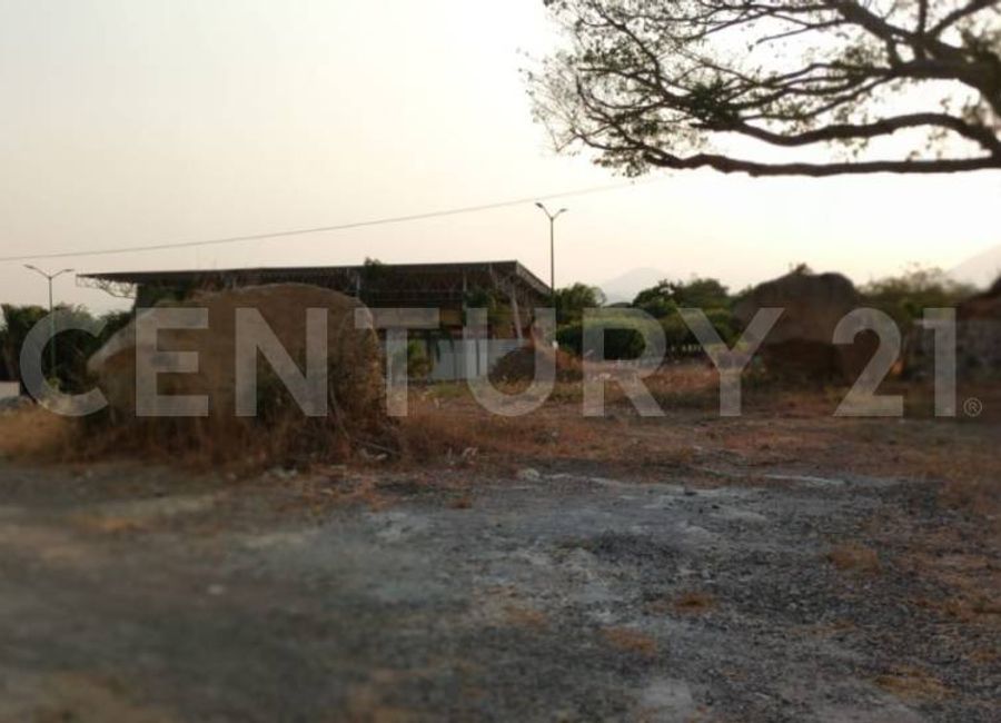 place photo 10