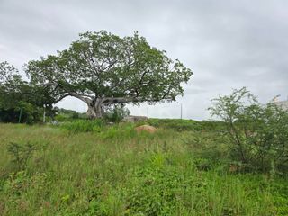 Terreno en Renta en Av. Prol. Hidalgo, Real Santa Fé, Villa de Álvarez