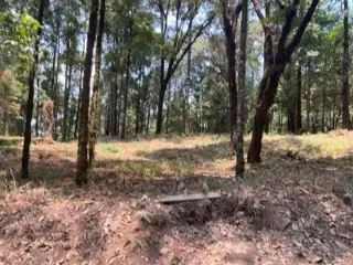 Terreno en venta en San Simón el Alto, Valle de Bravo, México