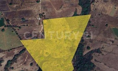 Se vende 11.4 Hectáreas en Buenavista, Cuauhtémoc, Colima