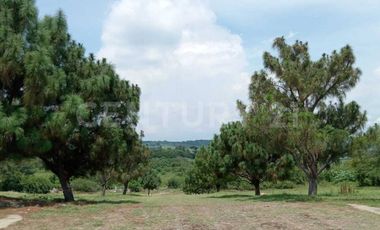 Terrenos en venta en Fraccionamiento Privado San Rafael, Cuauhtemoc, Colima