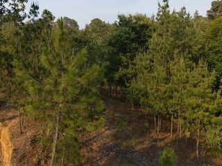 Terreno en venta en CONDOMINIO en Rincón de Estradas