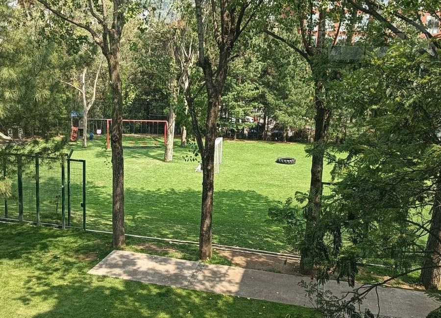 place photo 47