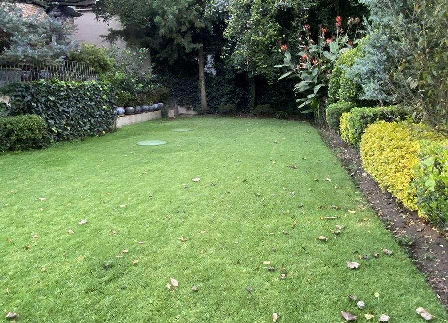 place photo 36