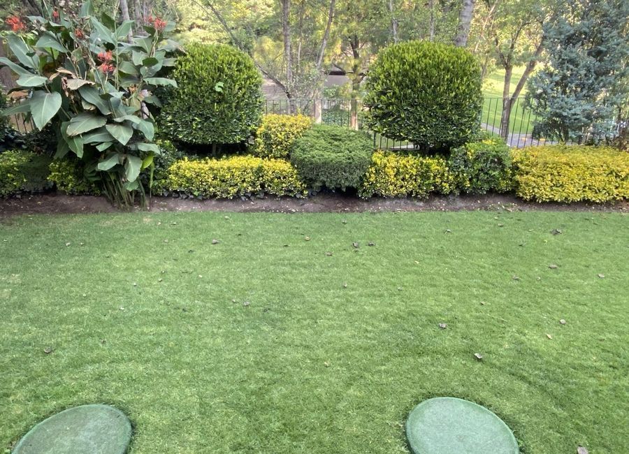 place photo 37