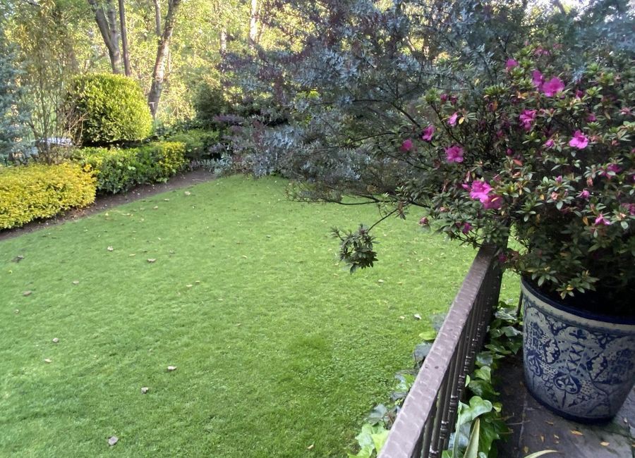 place photo 34