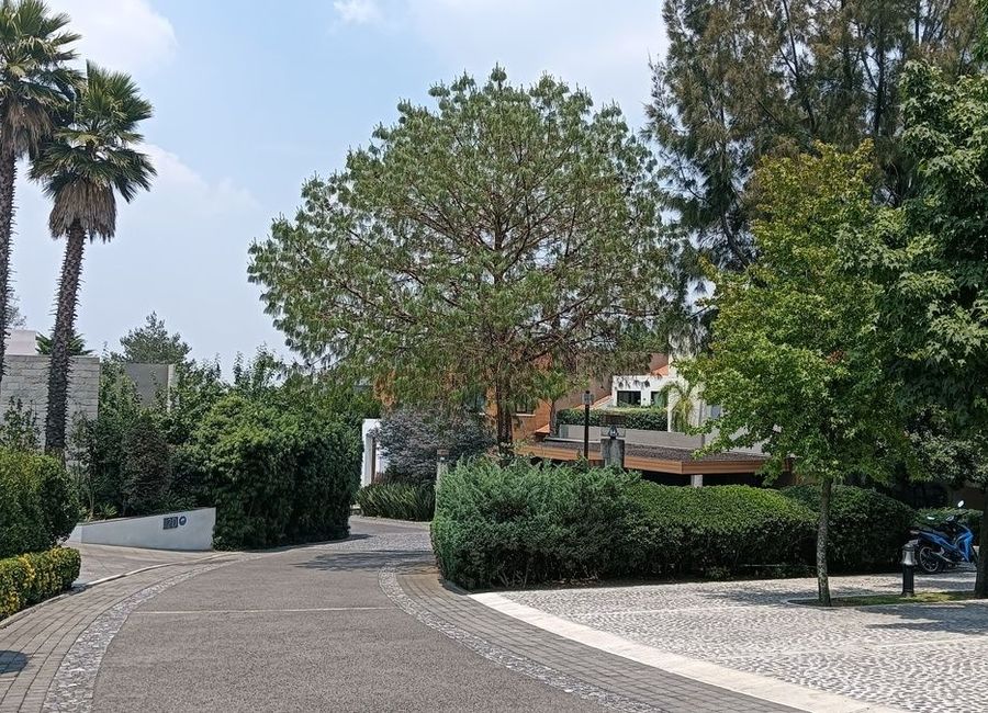 place photo 41