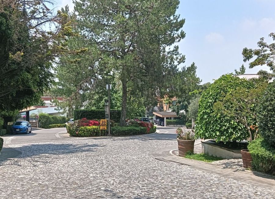place photo 43