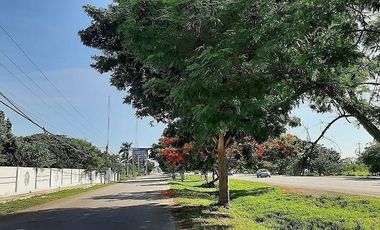 VENTA TERRENO DE 6 HECTAREAS SOBRE PERIFERICO NORTE MERIDA