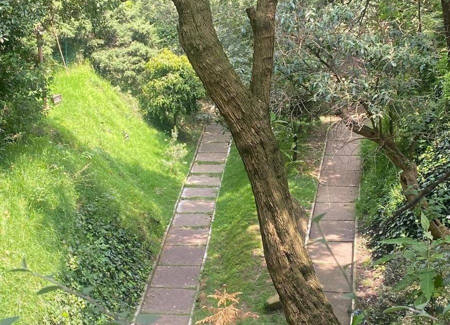 place photo 48
