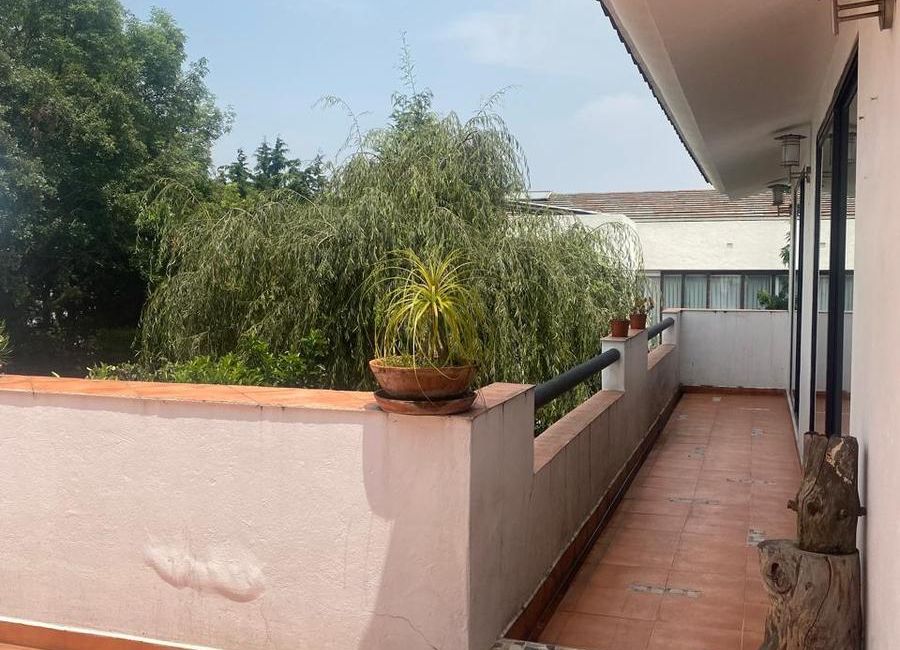 place photo 40