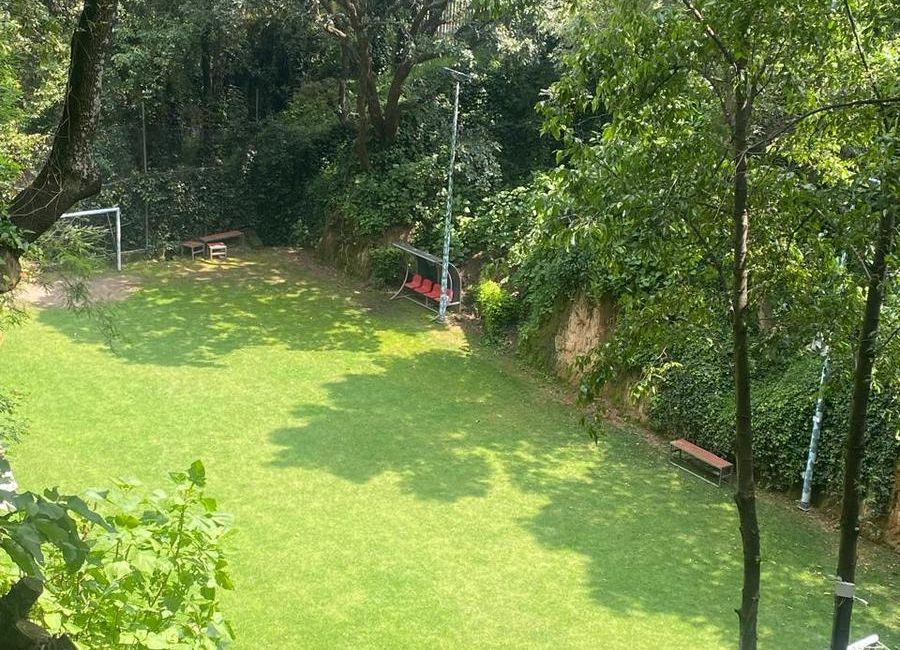 place photo 46