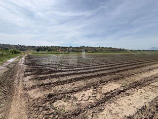 Terreno en venta 8 hectareas, carretera Huamantla - Felipe Carrillo Puerto