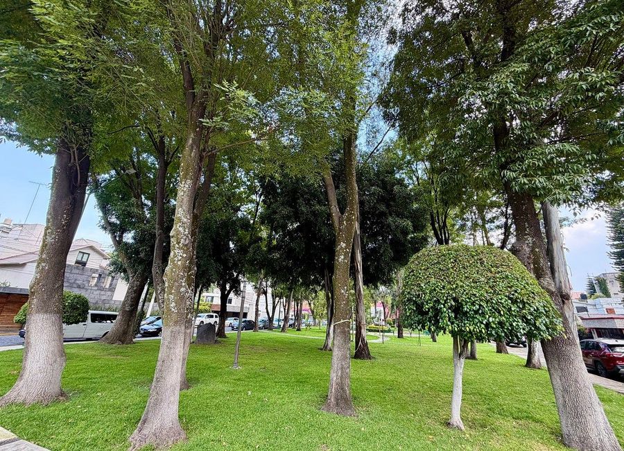 place photo 40