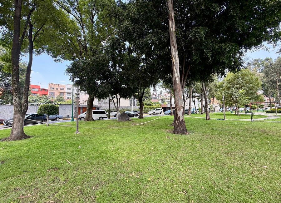 place photo 41