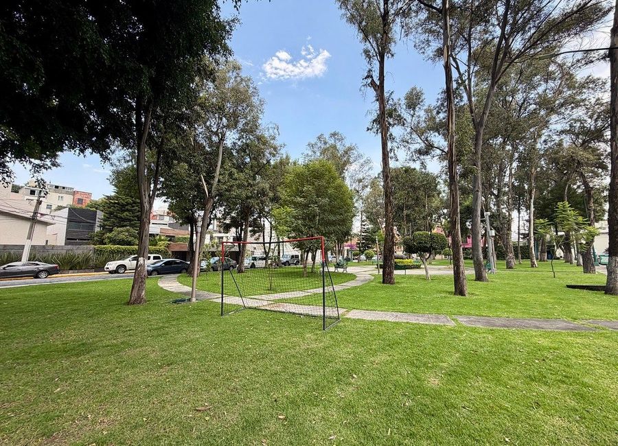 place photo 43