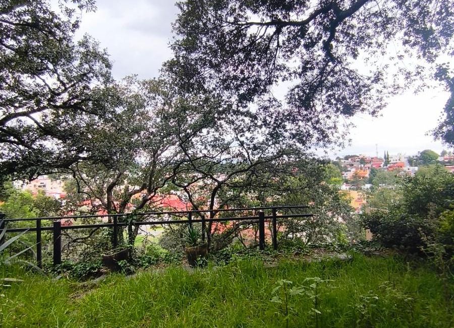 place photo 16