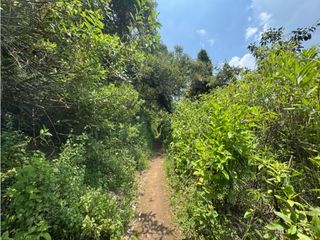TERRENO EN VENTA CON COLINDANCIA AL RO | PIPIOLTEPEC | VALLE DE BRAVO