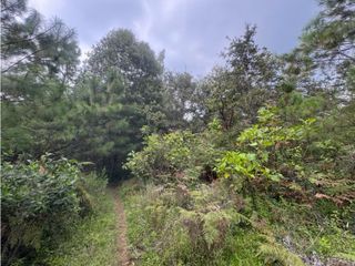 TERRENO EN VENTA | PIPIOLTEPEC | VALLE DE BRAVO