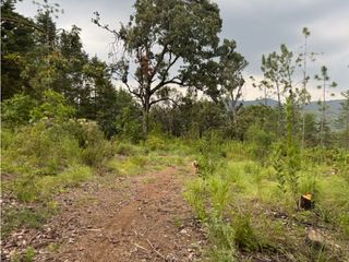TERRENO EN VENTA COLINDANTE CON RIO || VALLE DE BRAVO