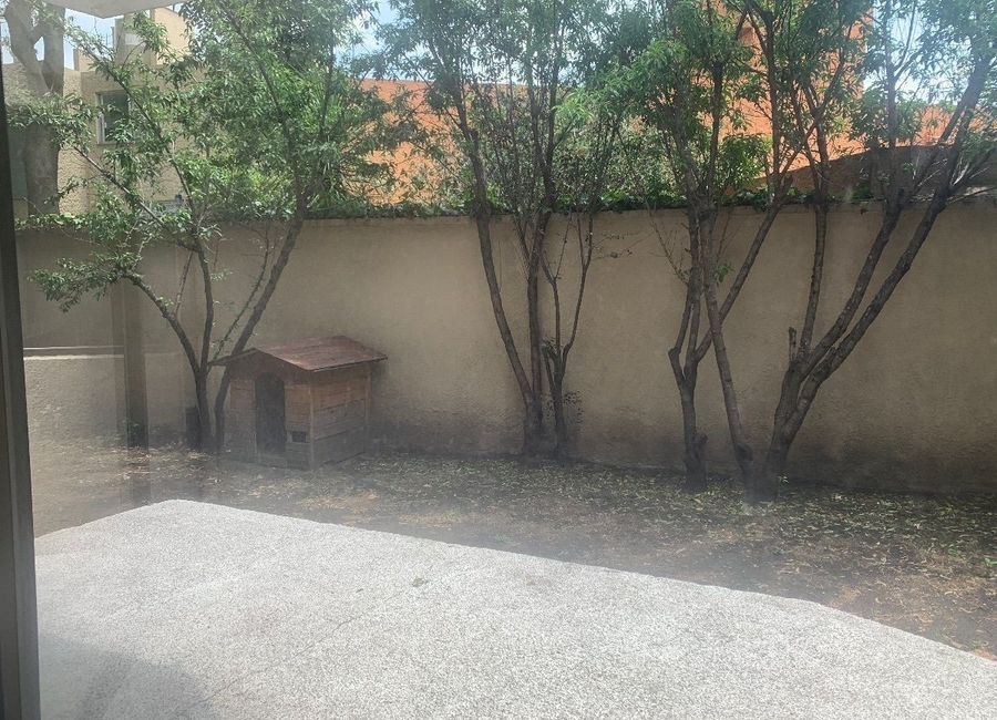 place photo 42