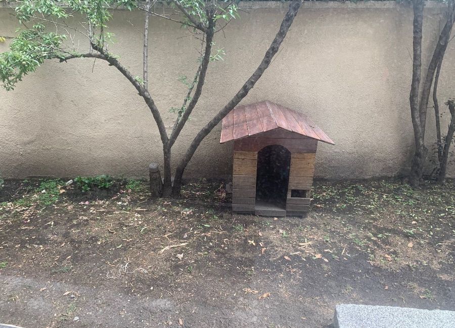 place photo 43