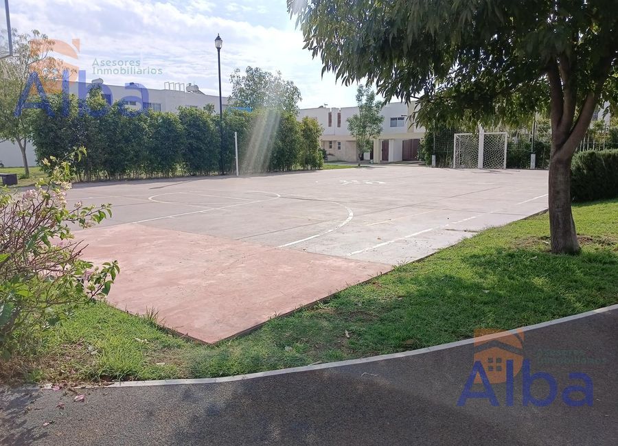place photo 27