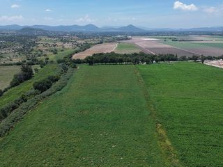 TERRENO EN VENTA 16 HA, AMAZCALA-CHICHIMEQUILLAS, EL MARQUÉS, QUERÉTARO.