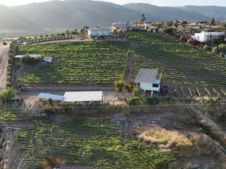 Casas con viñedo en Venta 9,466 m² en Valle de Guadalupe