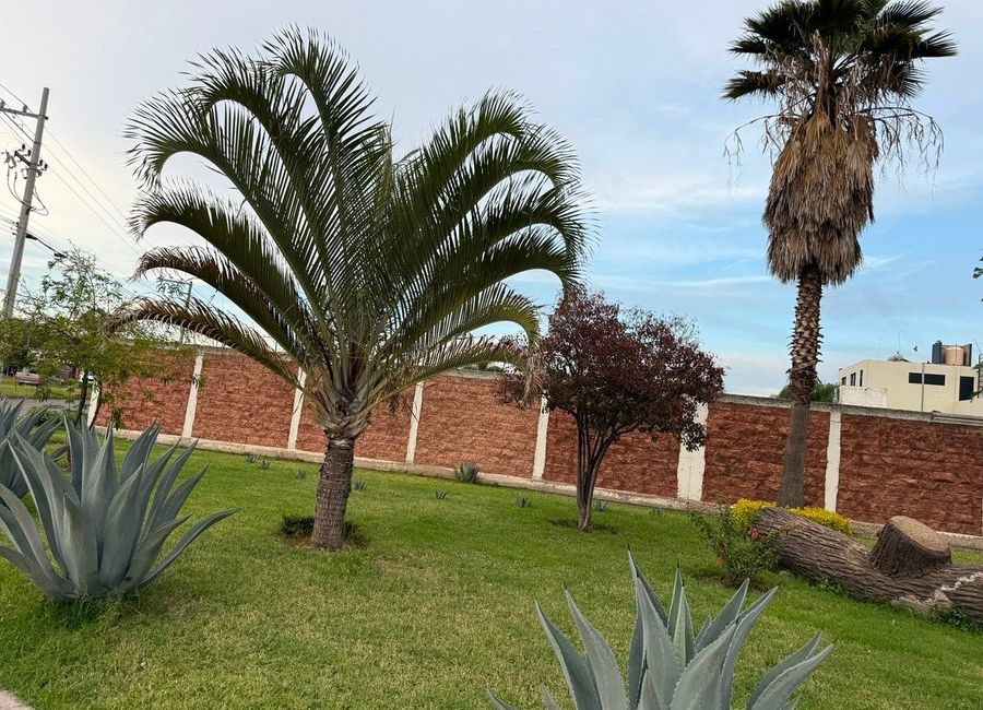 place photo 18
