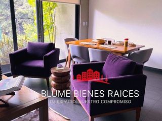 Polanco · moderno amueblado