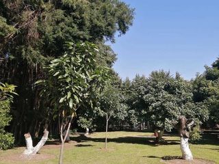 Terreno Productivo en Venta, Tenancingo, Estado de México.