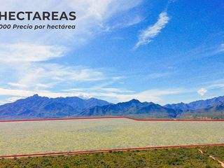 LOT 18 YENEKA