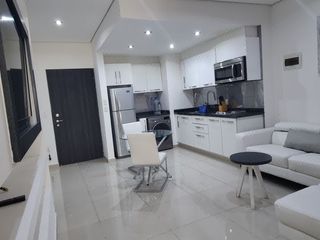 Excelente departamento amueblado con terraza  en renta (V)