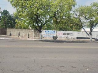 TERRENO EN RENTA SOBRE AV. INSURGENTES