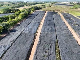 Terreno en venta en Los Robles, Medellín de Bravo, Veracruz