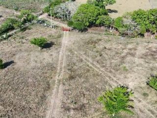 Terreno en venta 16 hectáreas en el ejido el Guayabo, Los Robles, Veracruz