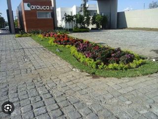 INCREIBLE TERRENO EN ARAUCA 2