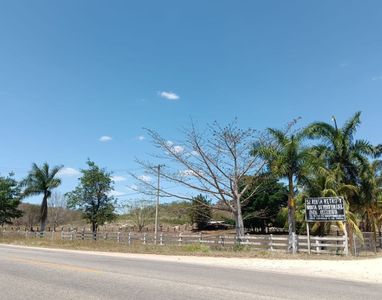 Terreno sobre carretera en Castamay Campeche.