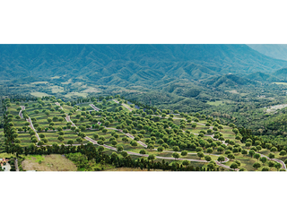 terreno en venta allende las colmenas