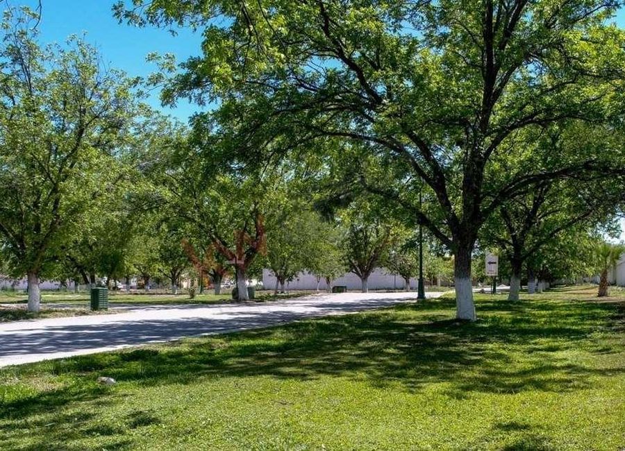 Terreno en Venta, San Armando Bosque Residencial, Torreón, Coahuila